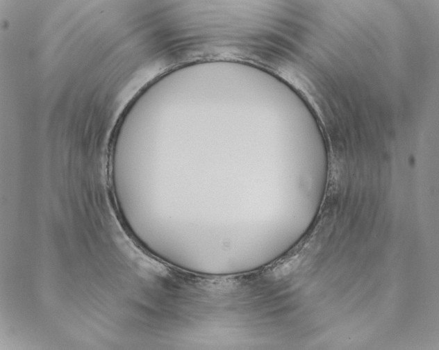 X0000088611090200706081428