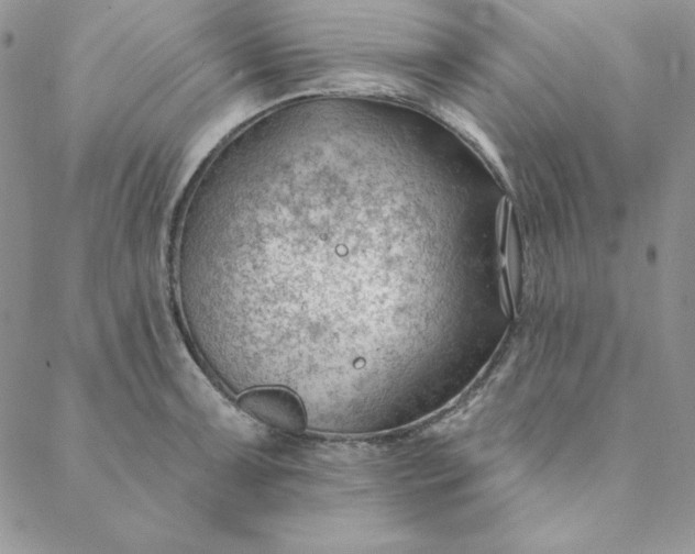 X0000088611091200706081428