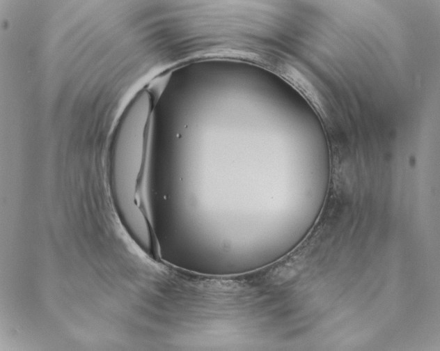 X0000088611092200706081428