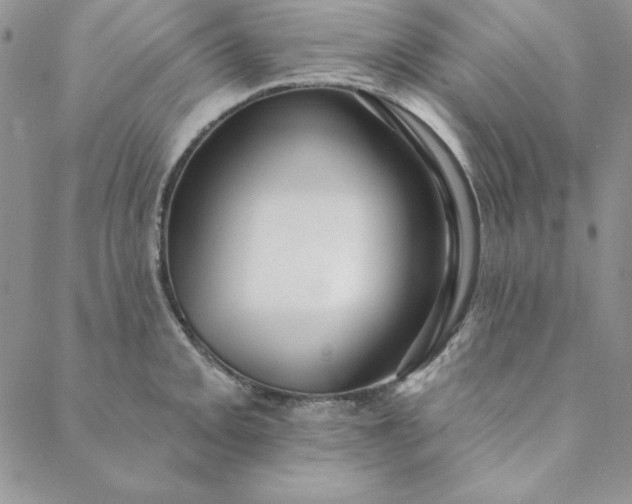 X0000088611093200706081428