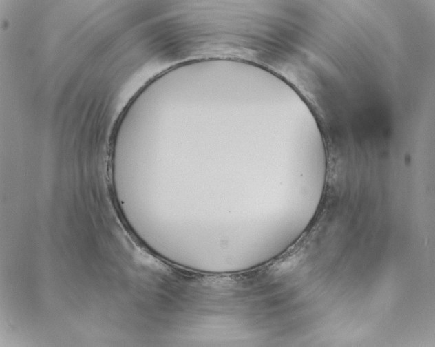 X0000088611094200706081428