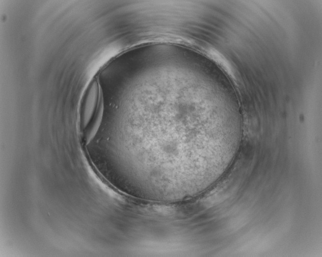 X0000088611095200706081428