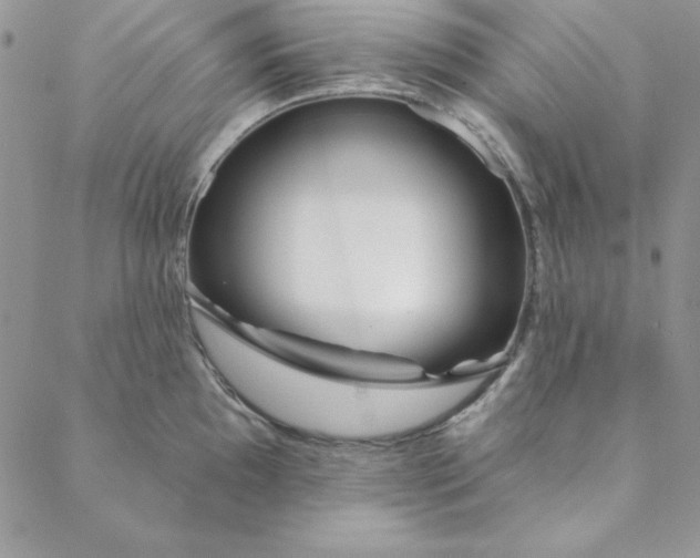 X0000088611097200706081428