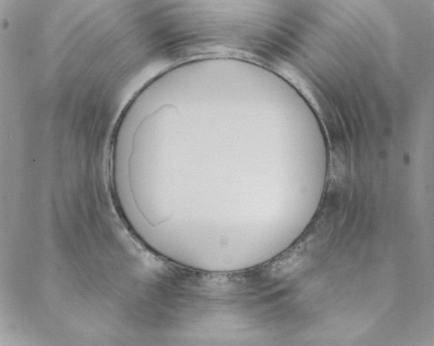 X0000088611098200706081428