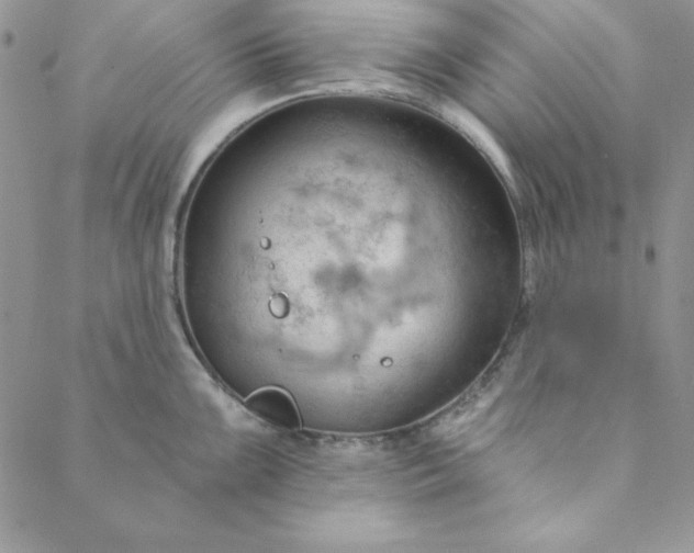 X0000088611099200706081428