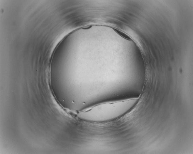 X0000088611100200706081428