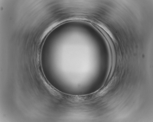 X0000088611101200706081428