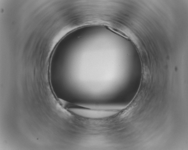 X0000088611102200706081428