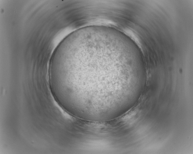 X0000088611103200706081428