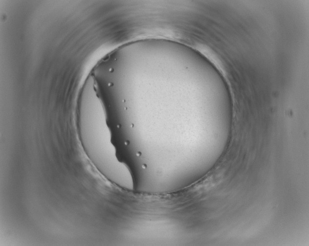 X0000088611104200706081428