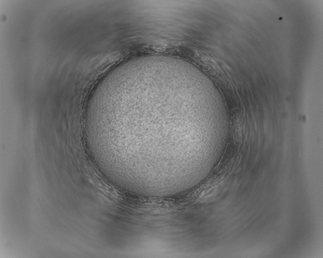 X0000088611105200706081427