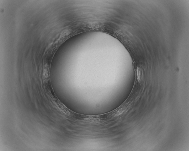 X0000088611107200706081427