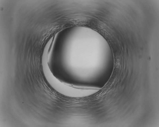 X0000088611108200706081427