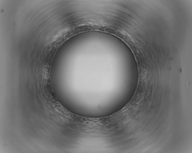 X0000088611110200706081427