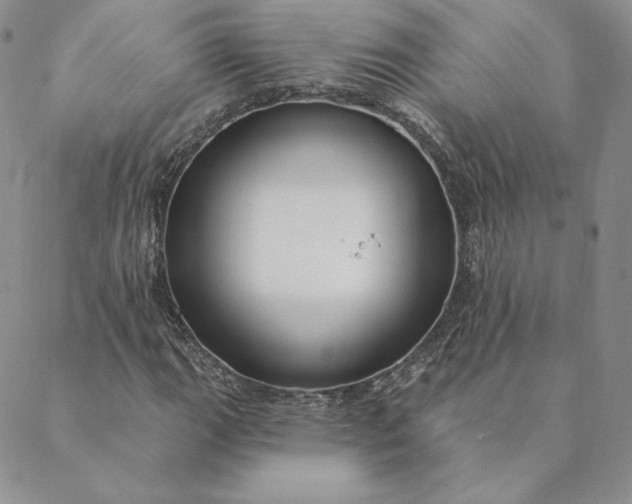 X0000088611111200706081427