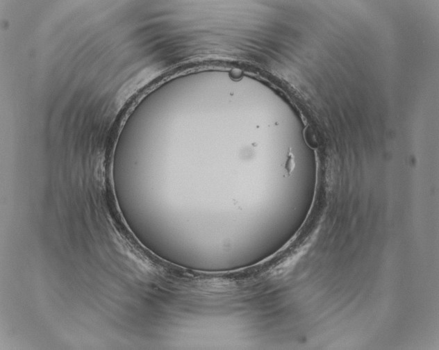 X0000088611113200706081427