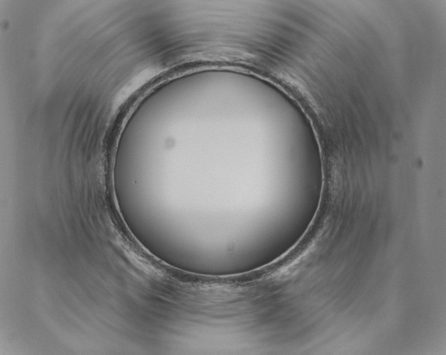 X0000088611114200706081427