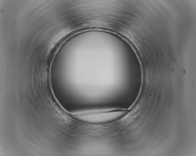 X0000088611115200706081427