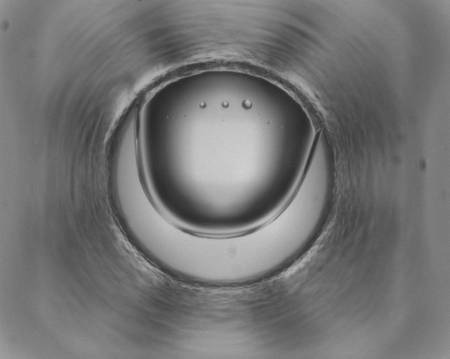 X0000088611118200706081427