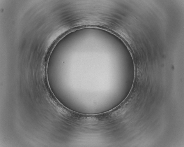 X0000088611119200706081427