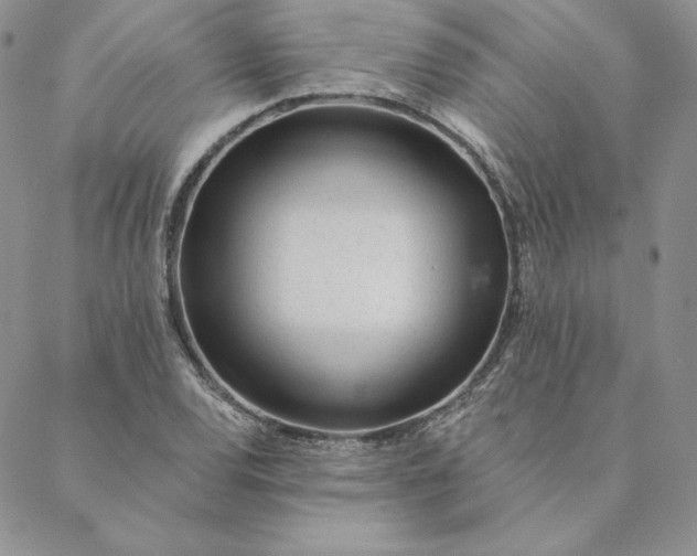 X0000088611120200706081427