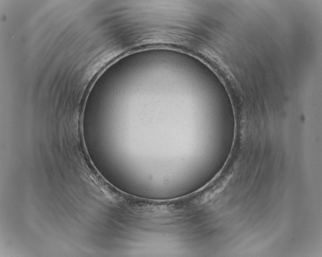 X0000088611121200706081427