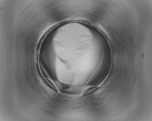 X0000088611124200706081427