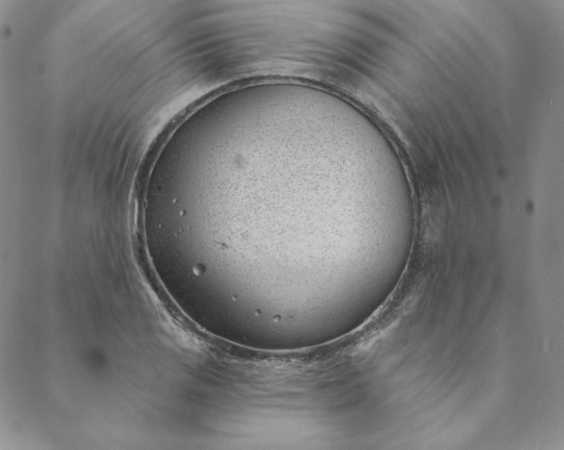 X0000088611125200706081427