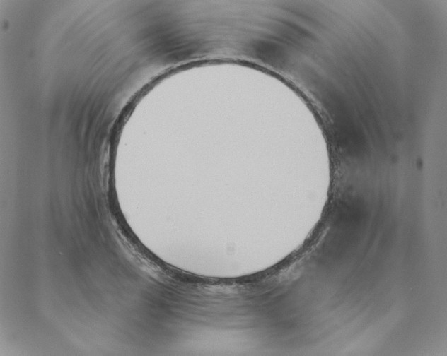 X0000088611126200706081427