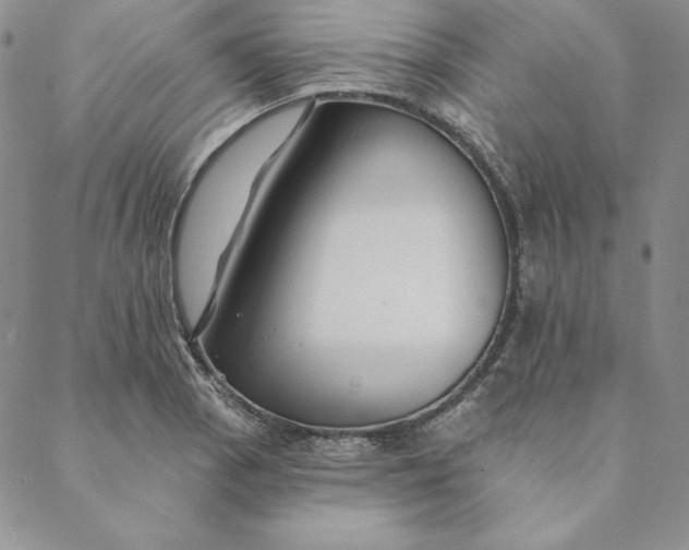 X0000088611129200706081427