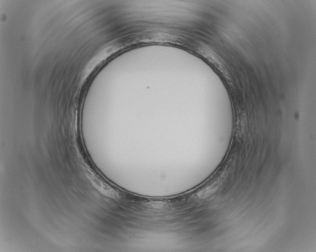 X0000088611130200706081427