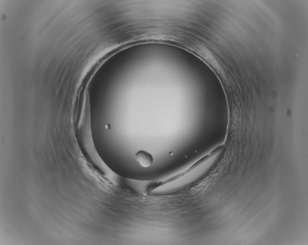 X0000088611132200706081427