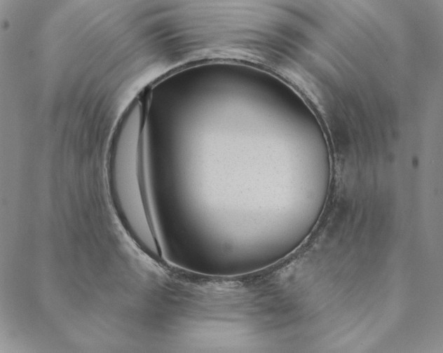 X0000088611133200706081427