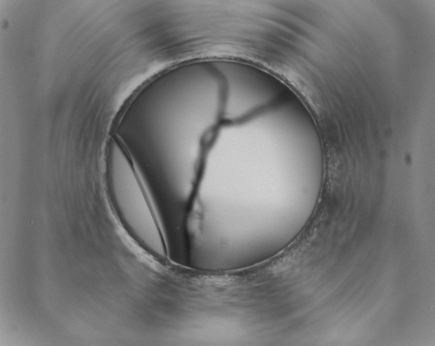 X0000088611134200706081427