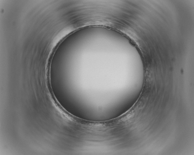 X0000088611135200706081427