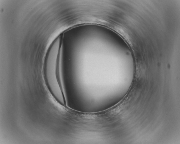 X0000088611136200706081428