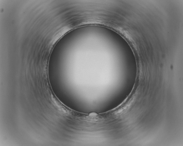 X0000088611137200706081428