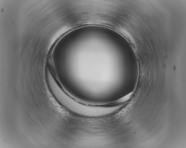 X0000088611138200706081428