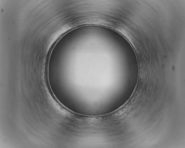 X0000088611139200706081428