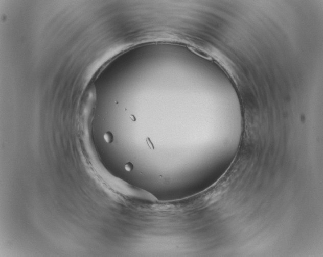 X0000088611142200706081428