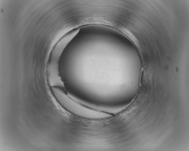 X0000088611144200706081428