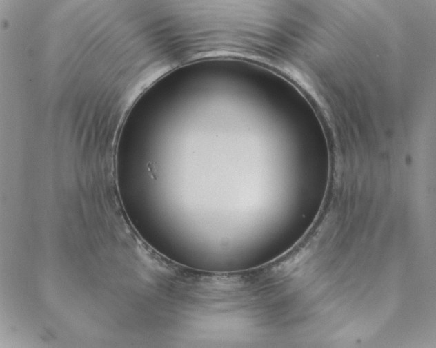 X0000088611145200706081428