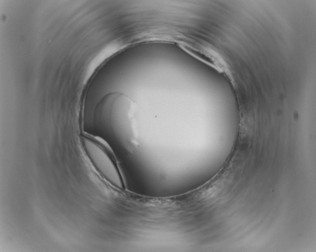 X0000088611146200706081428