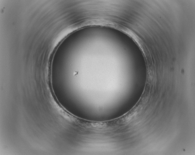 X0000088611147200706081428