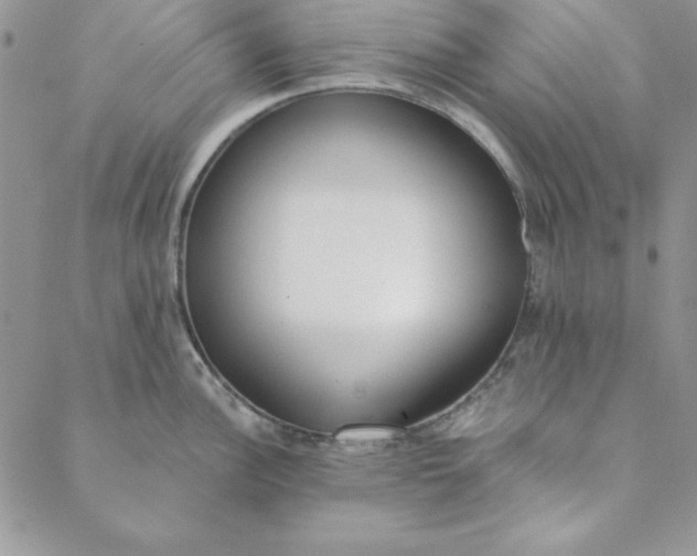 X0000088611148200706081428