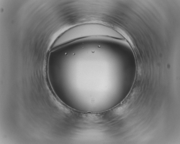 X0000088611149200706081428