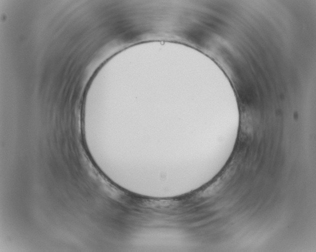 X0000088611150200706081428