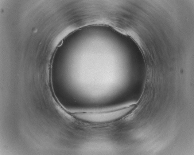 X0000088611151200706081428