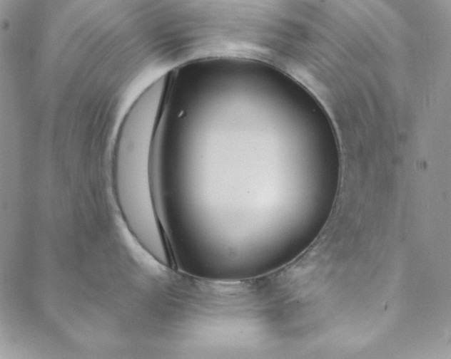 X0000088611152200706081428