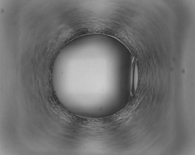 X0000088611153200706081427